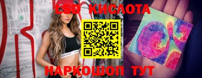 прущие крисы Беслан