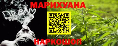 шишки Берёзовский