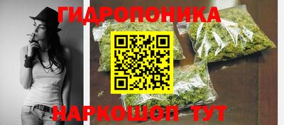 шишки Берёзовский